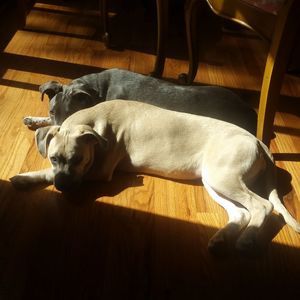 Meet your Posher, Catherine